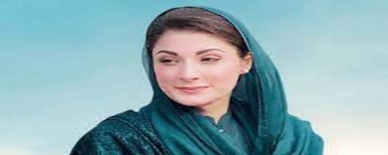 وزیرِ اعلیٰ پنجاب مریم نواز سے جاپان کے سفیر اکاماتسو شوئیچی نے ملاقات