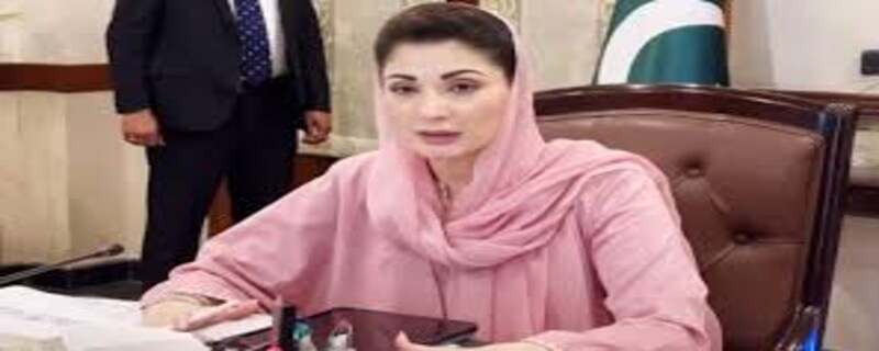 وزیر اعلیٰ پنجاب مریم نواز نے عوام سے پولیو ورکرز سے بھرپور تعاون کی اپیل کر دی