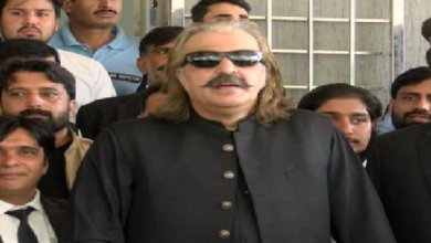 چیلنج ہے سیاسی اور جمہوری طریقے سے حکومت گرا کر دکھاؤ.علی امین گنڈا پور
