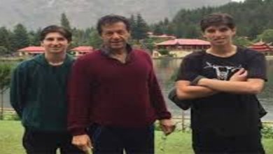 سابق وزیراعظم عمران خان کے بیٹوں کی متوقع آمدپر پیپلز پارٹی کامختلف موقف اپنانے کا فیصلہ ، سینئر صحافی کا دعویٰ