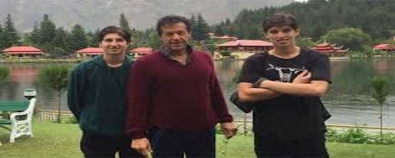 سابق وزیراعظم عمران خان کے بیٹوں کی متوقع آمدپر پیپلز پارٹی کامختلف موقف اپنانے کا فیصلہ ، سینئر صحافی کا دعویٰ