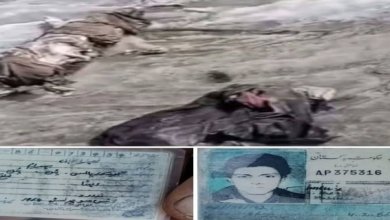 کوہستان 28سال بعد برف کے گلیشیر سے لاش بر آمد