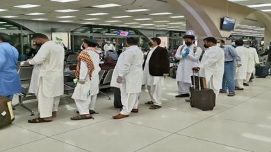 2023 سے اب تک 20 لاکھ پاکستانیوں کو 20 ممالک میں ملازمتیں ملیں، بیورو آف امیگریشن