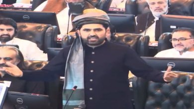 سہیل آفریدی، خیبر پختونخوا کے نئے وزیراعلیٰ