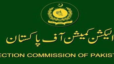 ظفرگڑھ پی پی 269 میں پولنگ اسٹیشن نمبر 103 پر پولنگ روک دی گئی