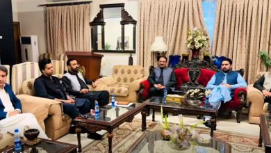 پاکستان تحریک انصاف خیبرپختونخوا کا امن و امان کے حوالے سے مجوزہ امن جرگہ پر اہم مشاورتی اجلاس