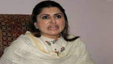 شہباز شریف نے آصف علی زرداری سے 27 ویں ترمیم پر حمایت مانگی ہے: شازیہ مری