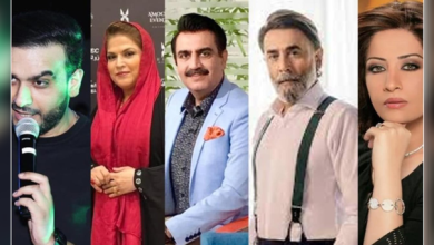پاکستانی سینما کا عالمی سفر، ریڈ سی انٹرنیشنل فلم فیسٹیول میں پہلا قدم