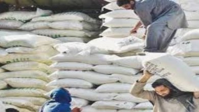پشاور،وزیراعلیٰ خیبر پختونخوا کی ہدایت پر آٹا 20 کلو 2,220 روپے میں دستیاب ہوگا