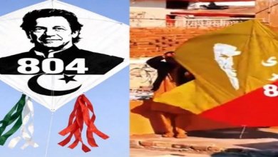 عمران خان کی تصاویر والی پتنگیں سامنے آ گئیں، حکومت نے پابندی عائد کر دی