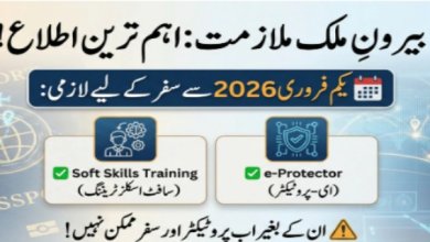 ورک ویزا پر سفر سے پہلے ٹریننگ اور ڈیجیٹل پروٹیکٹر لازمی