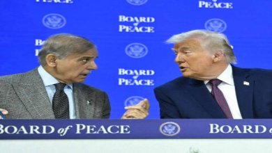 غزہ میں امن قائم ہونے کی امید پر پِیس بورڈ میں شمولیت اختیار کی ہے، وزیراعظم