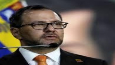 صدر مادورو ہی آئینی صدر، ریاستی نظام مکمل طور پر فعال ہے:وینزویلا وزیرِ خارجہ ایوان گل