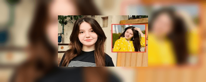 ٹک ٹاکر ثنا یوسف قتل کیس؛ ڈسٹرکٹ اینڈ سیشن کورٹس اسلام آباد نے فیصلہ محفوظ کرلیا، فیصلہ آج 3 بجے سنایا جائے گا