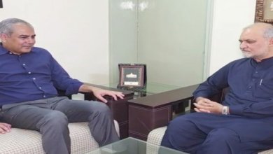 محسن نقوی کی حافظ نعیم الرحمان سے ملاقات، ملکی و علاقائی صورتحال پر تبادلہ خیال